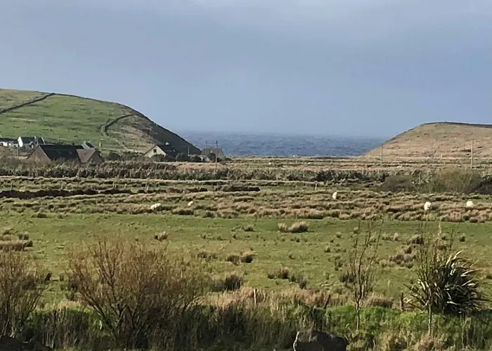 Ocean View Séjour à la ferme *